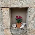 Mattiuzi Nedescina